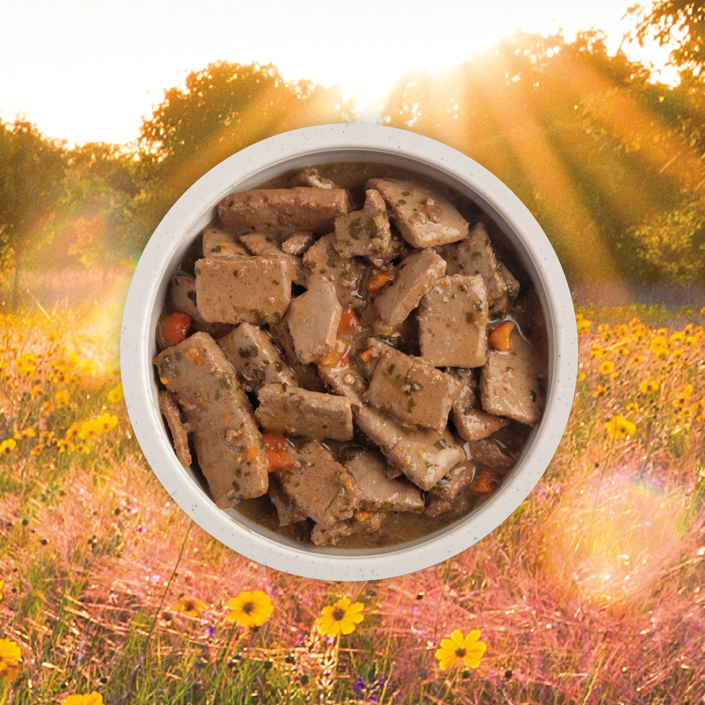 Acana Premium Chunks, Beef Recipe in Bone Broth Wet Dog Food, 12.8-oz, Case of 12