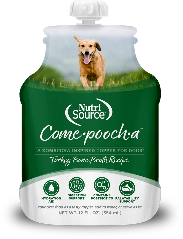 Nutrisource Come·pooch·a™ Turkey Bone Broth 12-oz, Meal topper