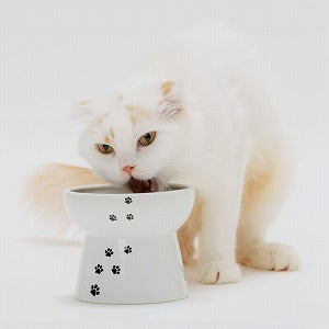 Necoichi Raised Cat Food Bowl