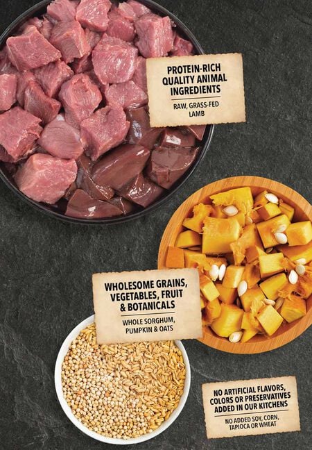 Acana Wholesome Grains Lamb & Pumpkin Recipe, Dry Dog Food