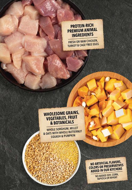 Acana Wholesome Grains Poultry Recipe, Dry Dog Food