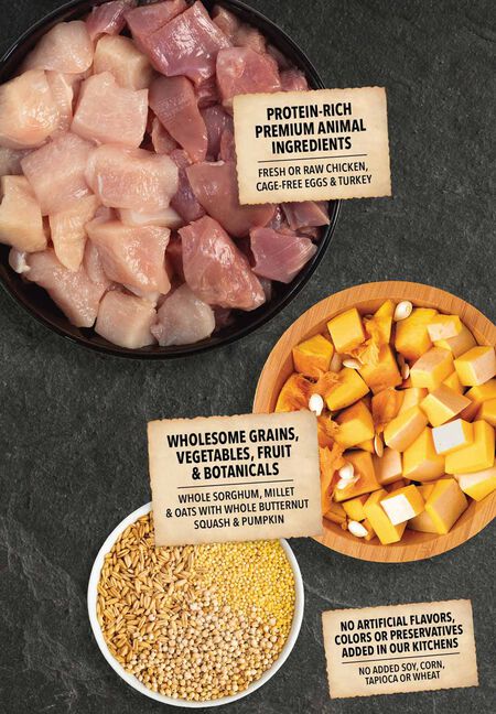 Acana Wholesome Grains Small Breed Recipe, Dry Dog Food