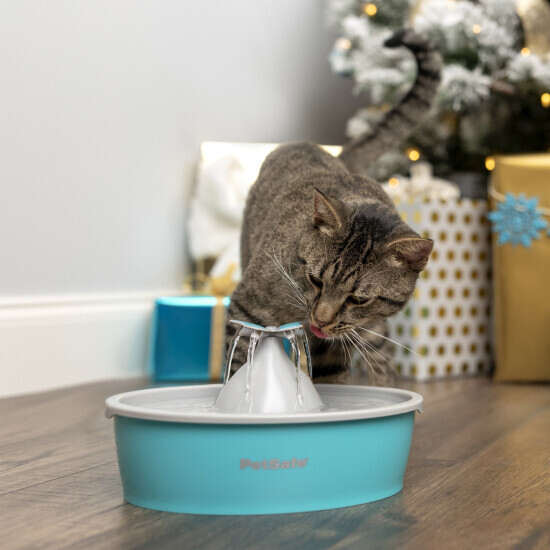 Petsafe Drinkwell Butterfly Pet Fountain, 50-oz