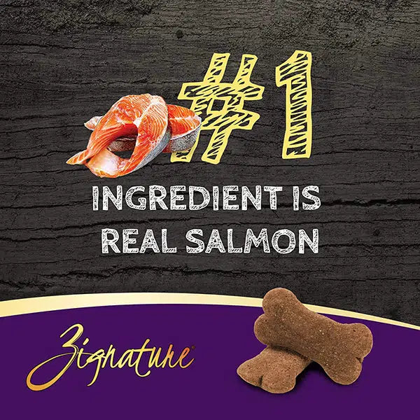 Zignature Ziggy Bar Biscuits Salmon Recipe 12-oz, Dog Treat