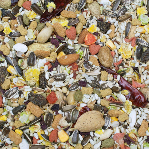 Higgins Sunburst Parrot Food, 3-lb Bag