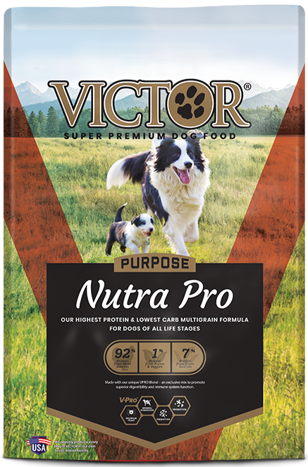 Victor dog food high protein best sale