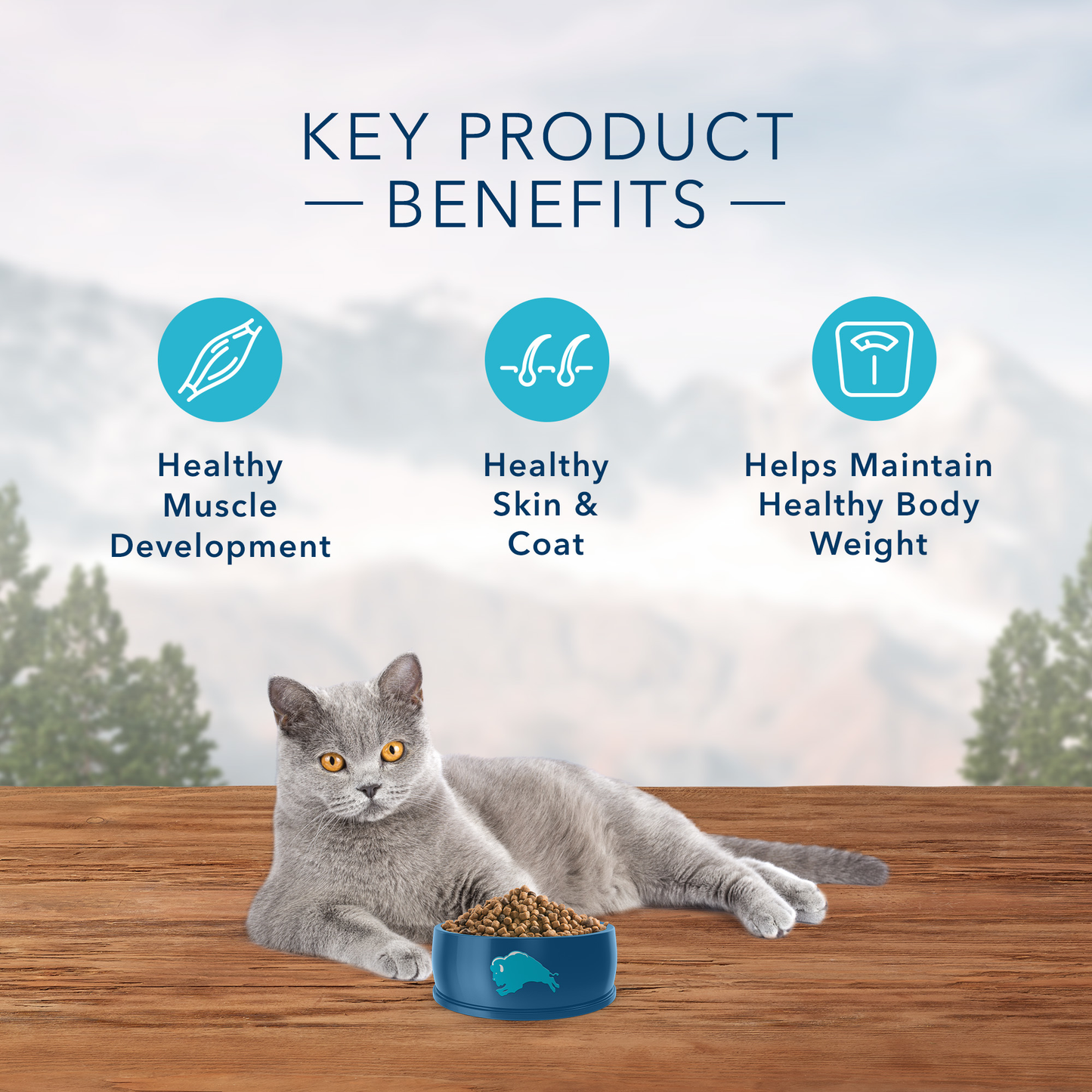 Blue Buffalo Wilderness High Protein, Natural Adult Indoor Dry Cat Food, Chicken