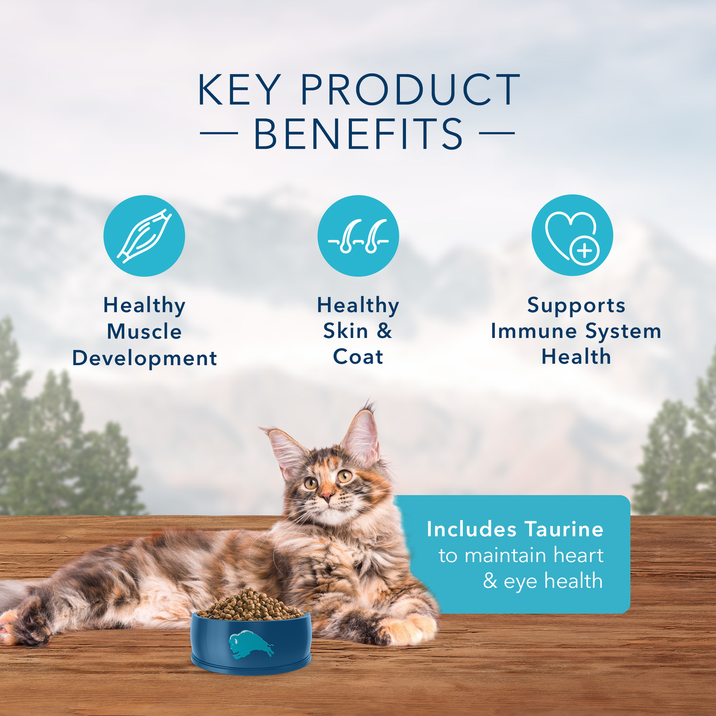Blue Buffalo Wilderness High Protein Natural Adult Dry Cat Food, Salmon