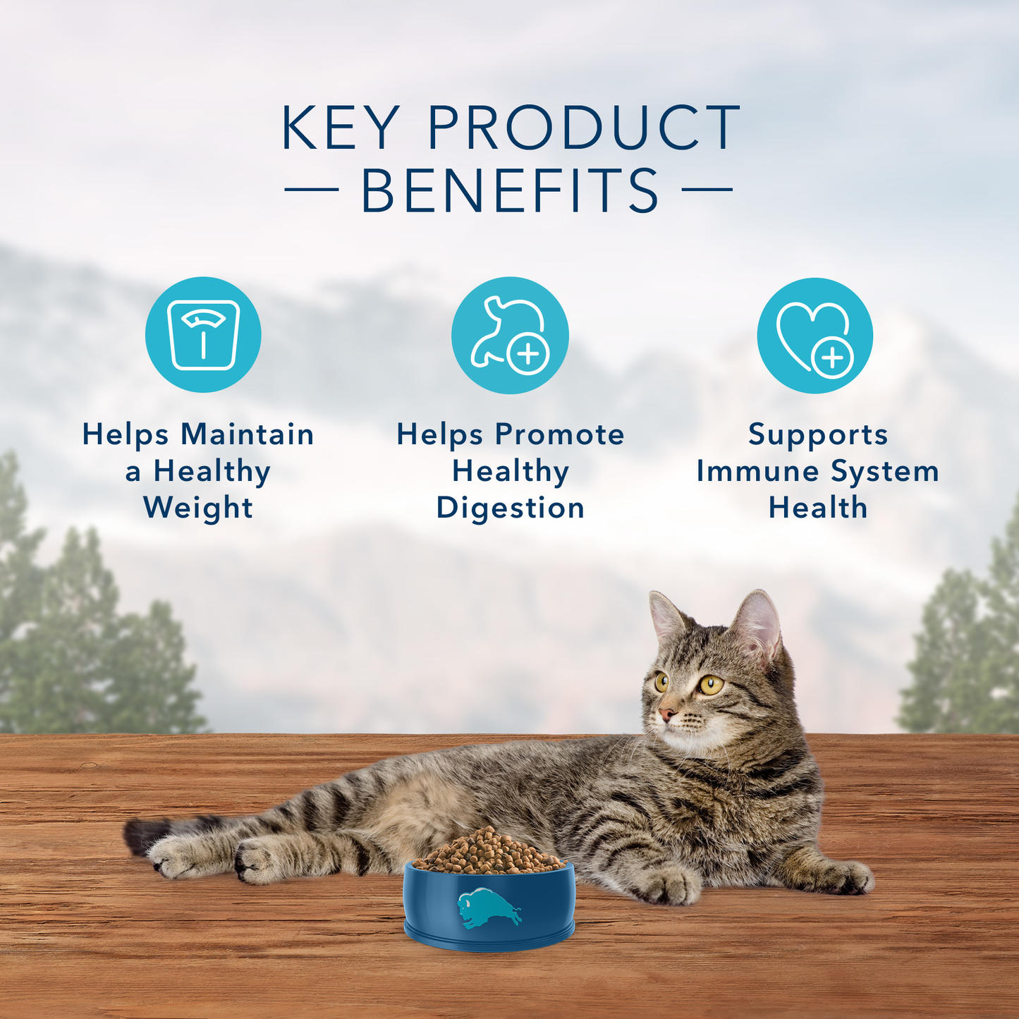 Blue Buffalo Wilderness High Protein, Natural Adult Weight Control Dry Cat Food, Chicken