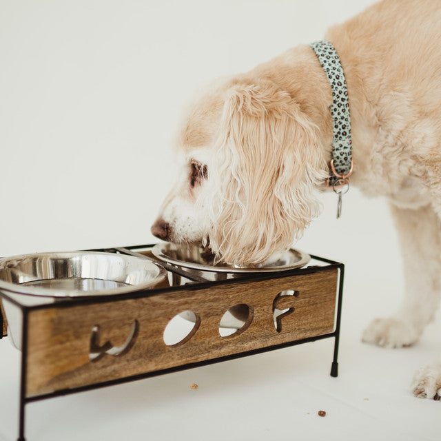 Loving Pets Wooden Woof Cut Dog Diner