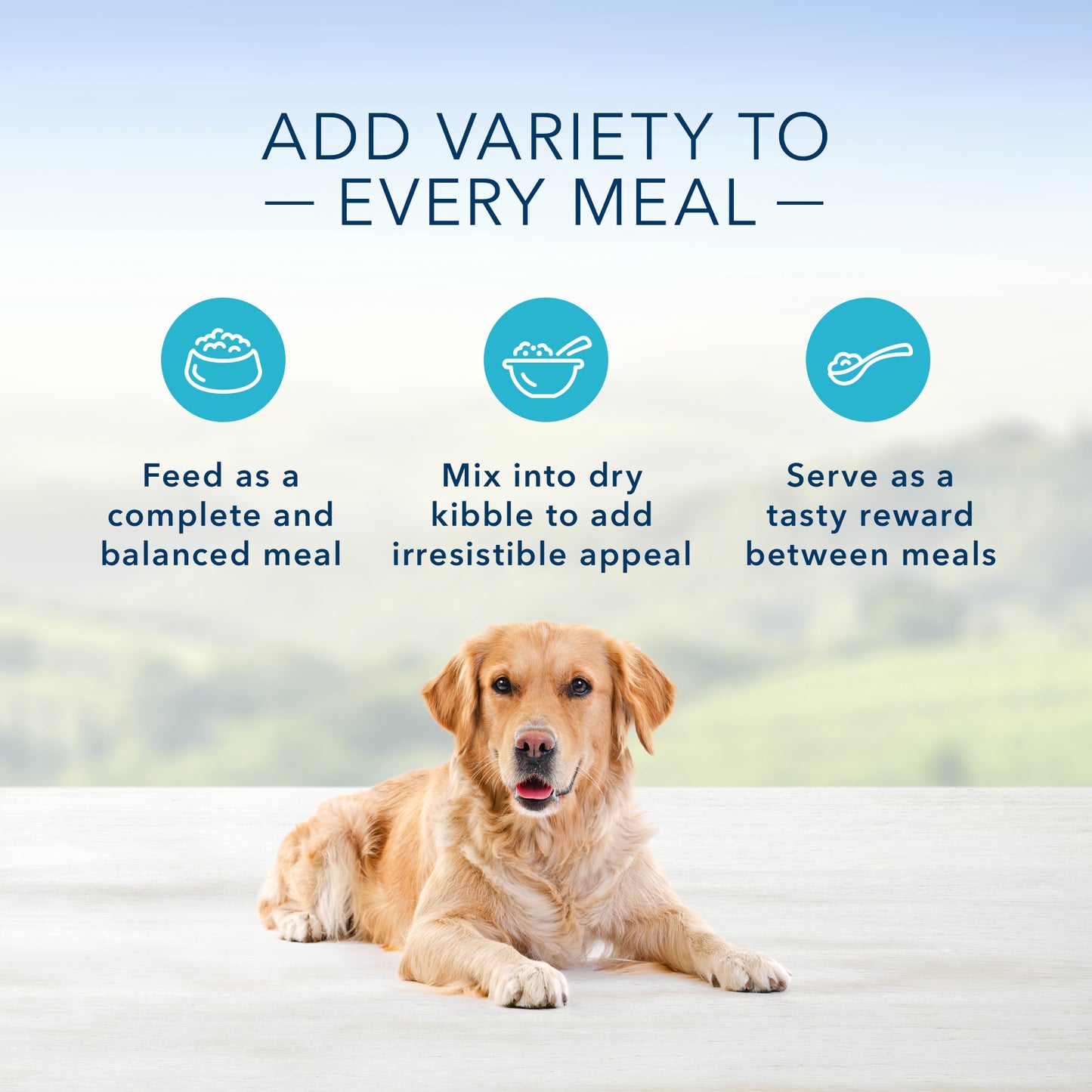 Blue Buffalo Homestyle Recipe Natural Adult Wet Dog Food, Turkey Meatloaf 12.5-oz, Case of 12
