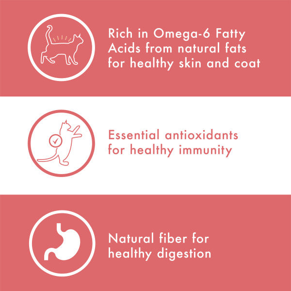 NUTRO WHOLESOME ESSENTIALS Adult Natural Dry Cat Food Salmon & Brown Rice Recipe