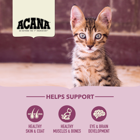 Acana First Feast Kitten Recipe 4-lb, Dry Cat Food