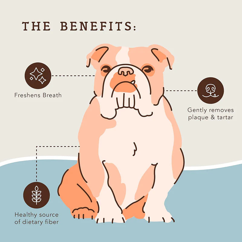 Natural Dog Company 14-oz Dental Treats For Dogs