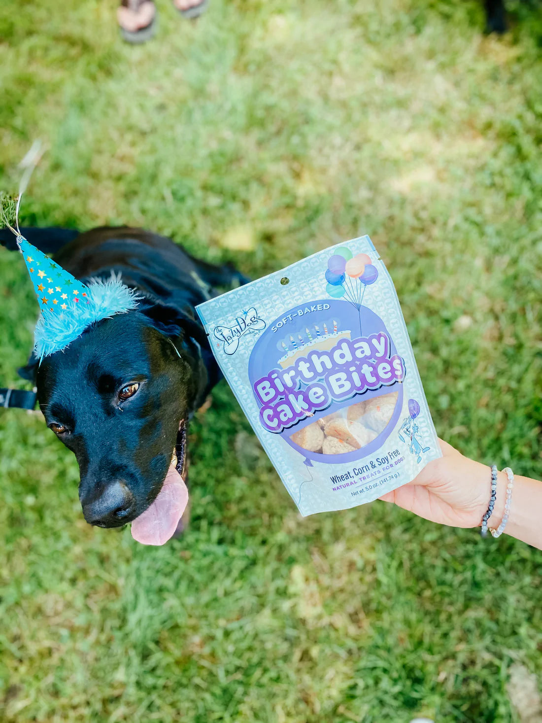 The Lazy Dog Cookie Co. Birthday Cake Bites 5-oz, Dog Treat