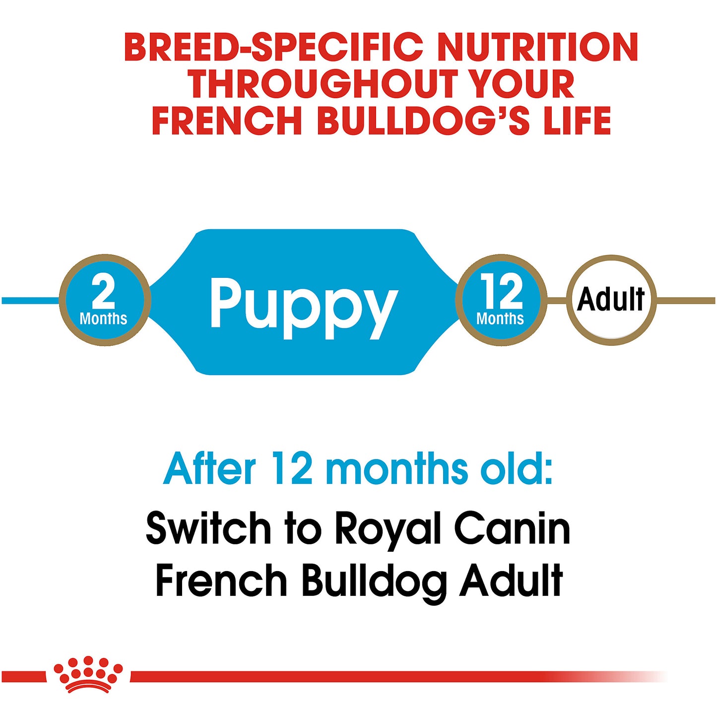 Royal Canin French Bulldog Puppy, Dry Dog Food