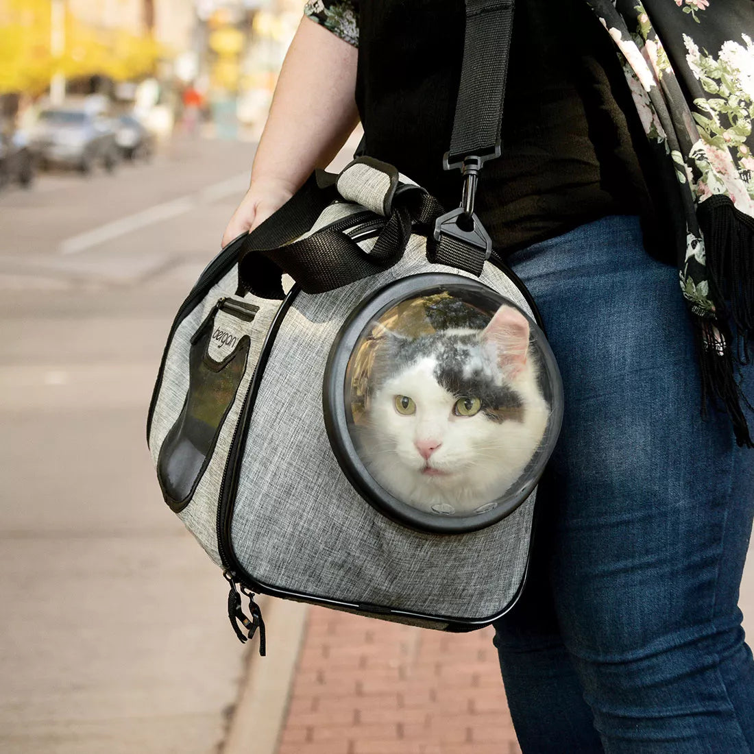 Bergan Cat Carrier