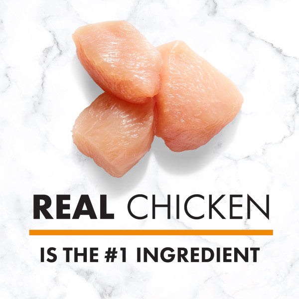 NUTRO NATURAL CHOICE Small Breed Adult Dry Dog Food, Chicken & Brown Rice Recipe
