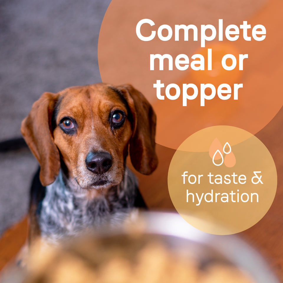Canidae All Life Stages Lamb & Rice Recipe 13-oz, Wet Dog Food, Case Of 12