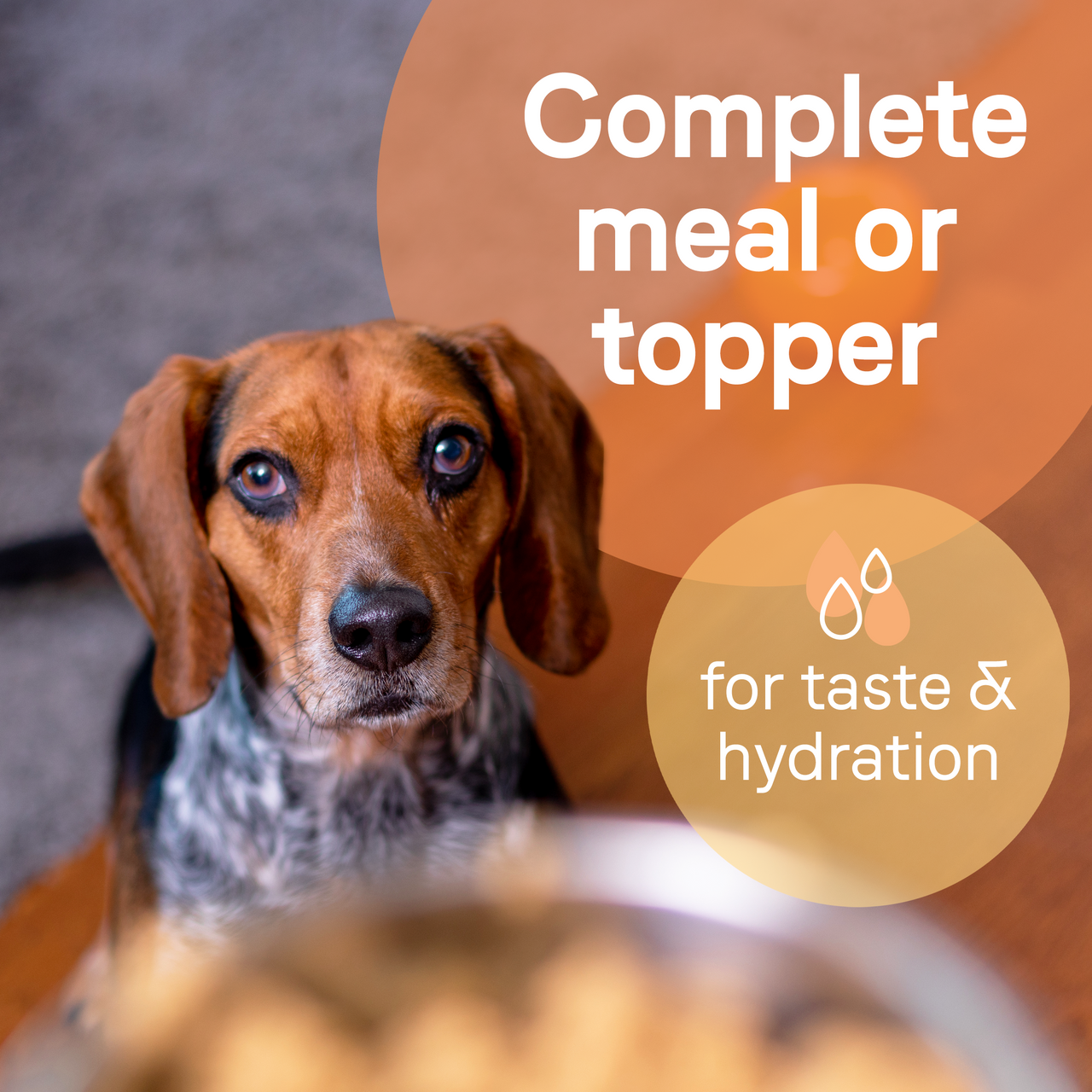 Canidae All Life Stages Chicken & Rice Recipe, Wet Dog Food, Case Of 12