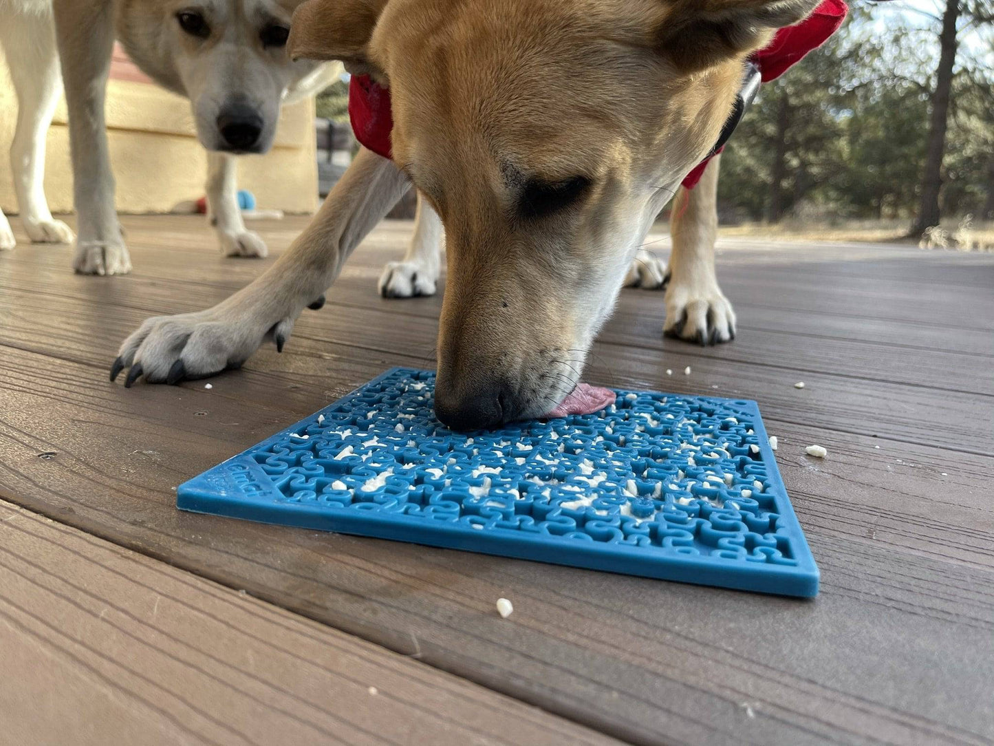 SodaPup Jigsaw Emat Enrichment Lick Mat For Dogs
