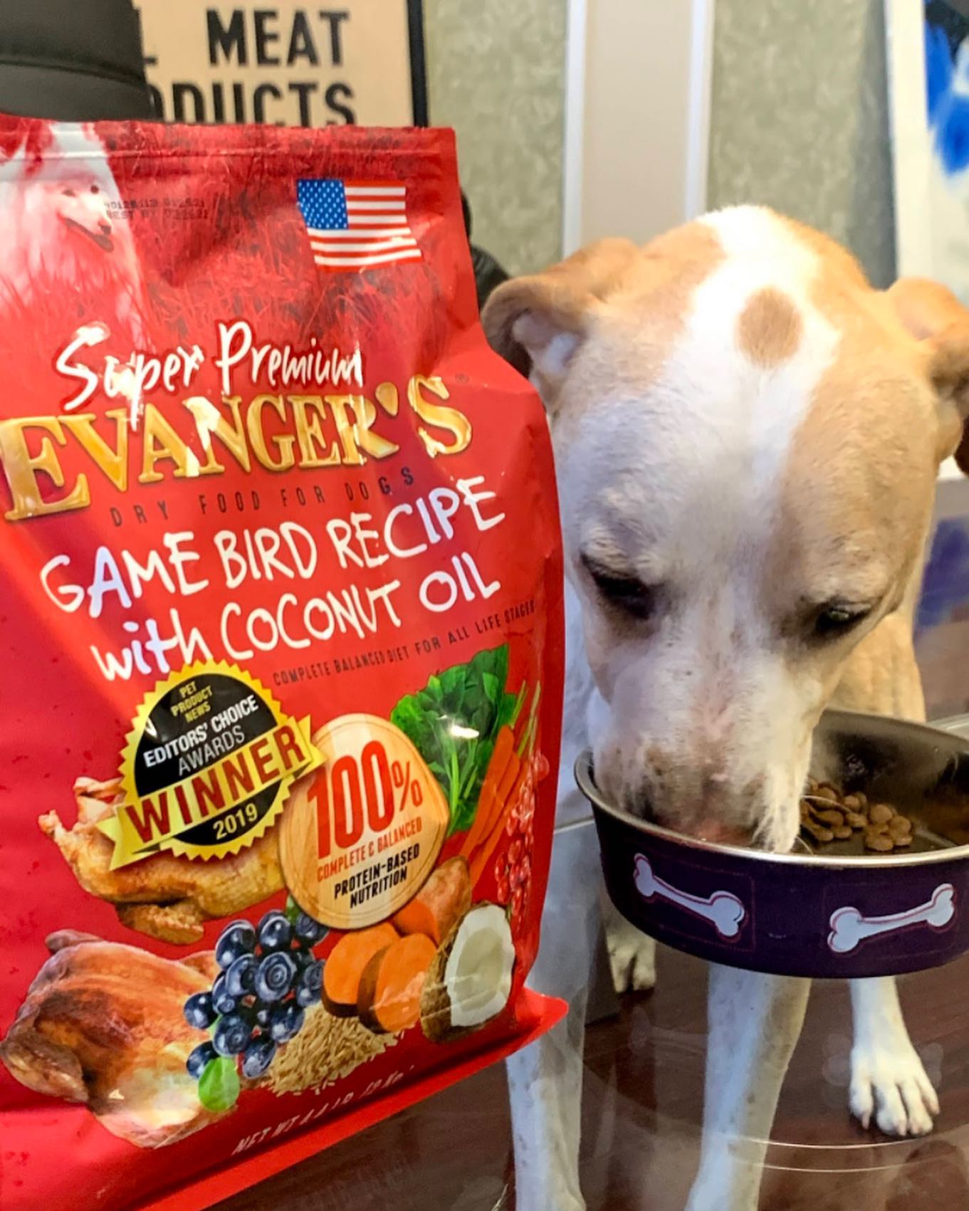 Evanger's Gamebird Recipe With Coconut Oil , Dry Dog Food