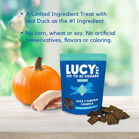 Lucy Pet Hip To Be Square, Duck & Pumpkin Recipe Dog Treat, 6-oz Bag
