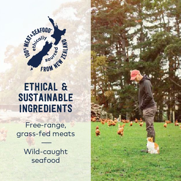ZiwiPeak Chicken Recipe, Wet Dog Food