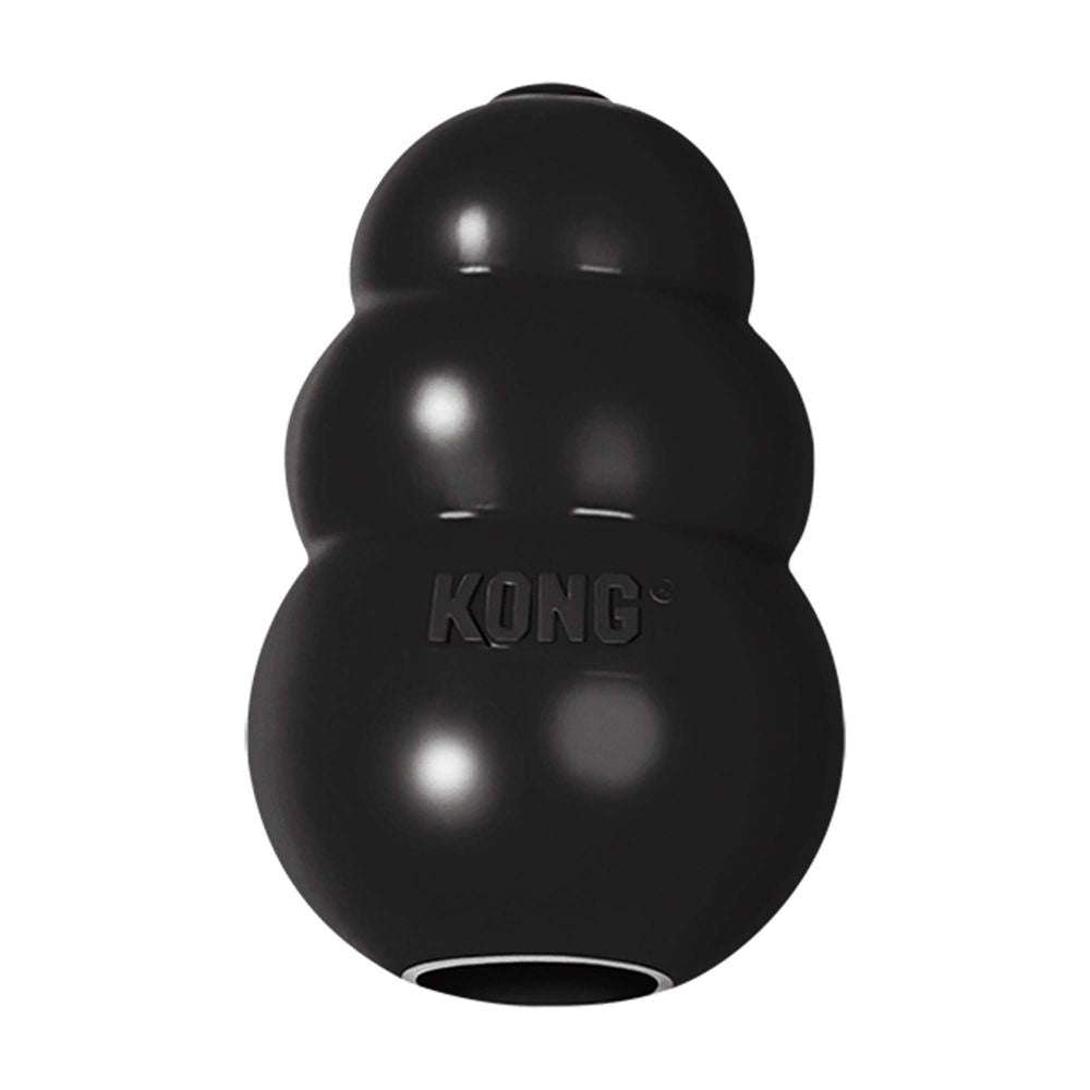 Kong Extreme, Dog Toy
