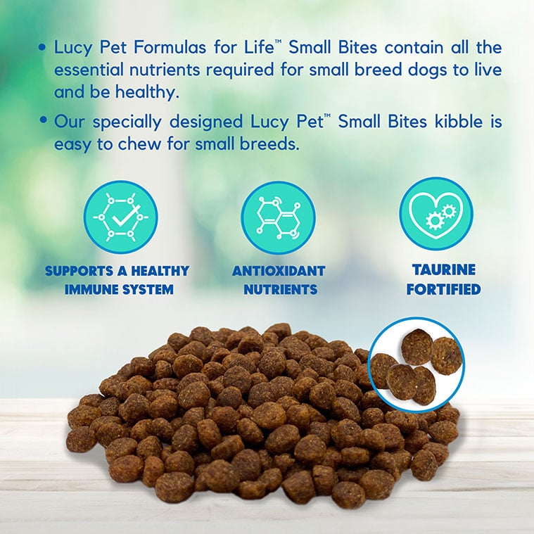 Lucy Pet Chicken, Brown Rice & Pumpkin Limited Ingredient Diet Small Bites, Dry Dog Food, 4.5-lb Bag