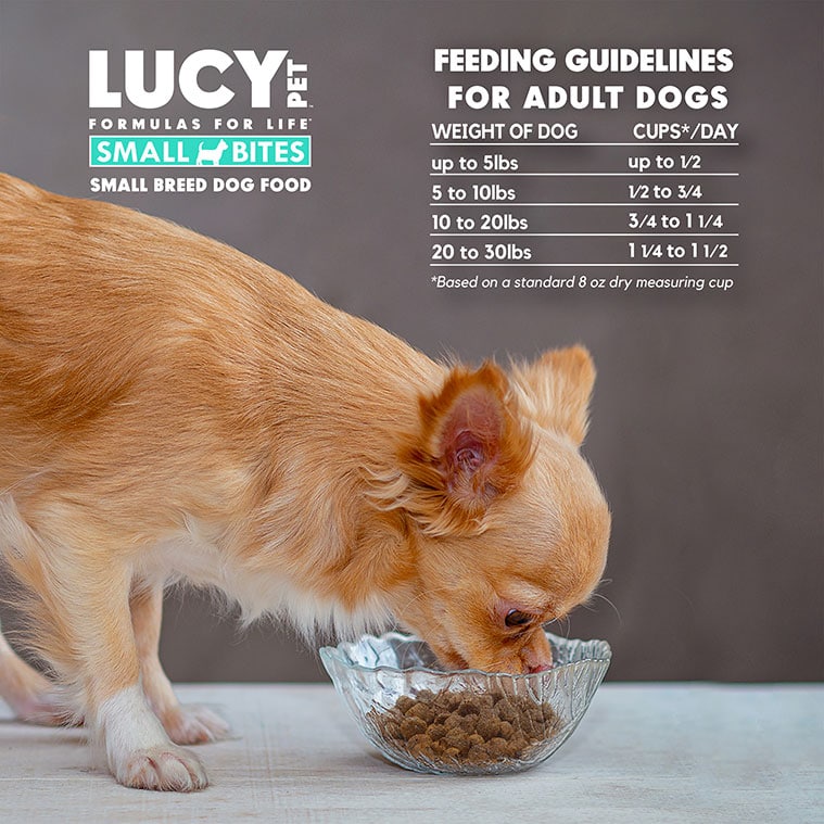 Lucy Pet Chicken, Brown Rice & Pumpkin Limited Ingredient Diet Small Bites, Dry Dog Food, 4.5-lb Bag