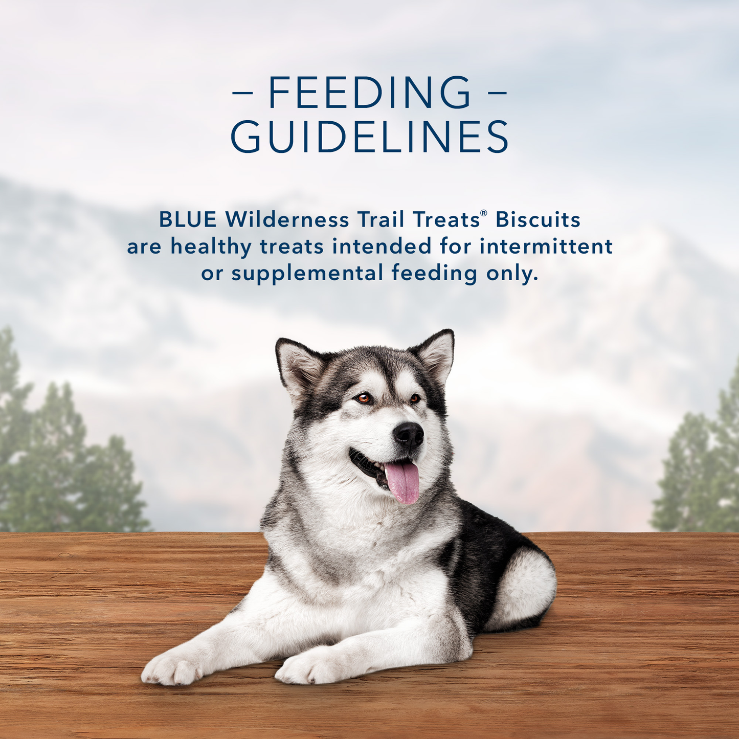 Blue Buffalo Wilderness Trail Treats High Protein Grain Free Crunchy Dog Treats Biscuits, Salmon Recipe, 10-oz Bag