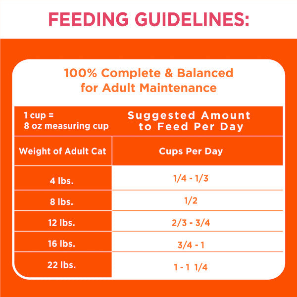 IAMS Proactive Health Adult Healthy Dry Cat Food with Salmon Cat Kibble, 7-lb Bag