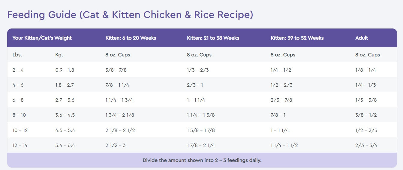 NutriSource® Cat & Kitten Chicken & Rice Dry Cat Food