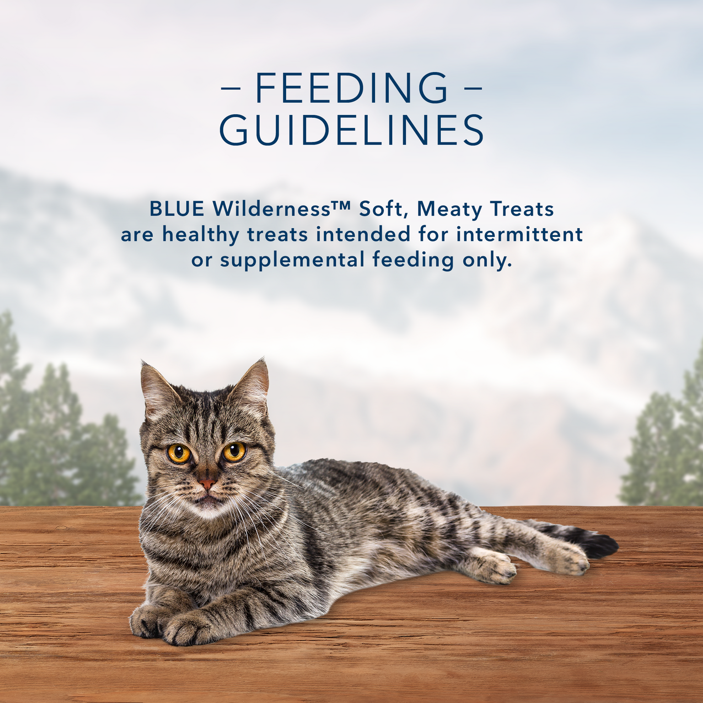 Blue Buffalo Wilderness Grain Free Soft-Moist Cat Treats, Chicken and Duck Recipe 2-oz Bag