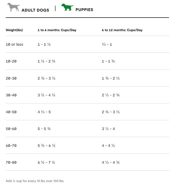 Open Farm Ancient Grains Wild Caught Salmon, Dry Dog Food