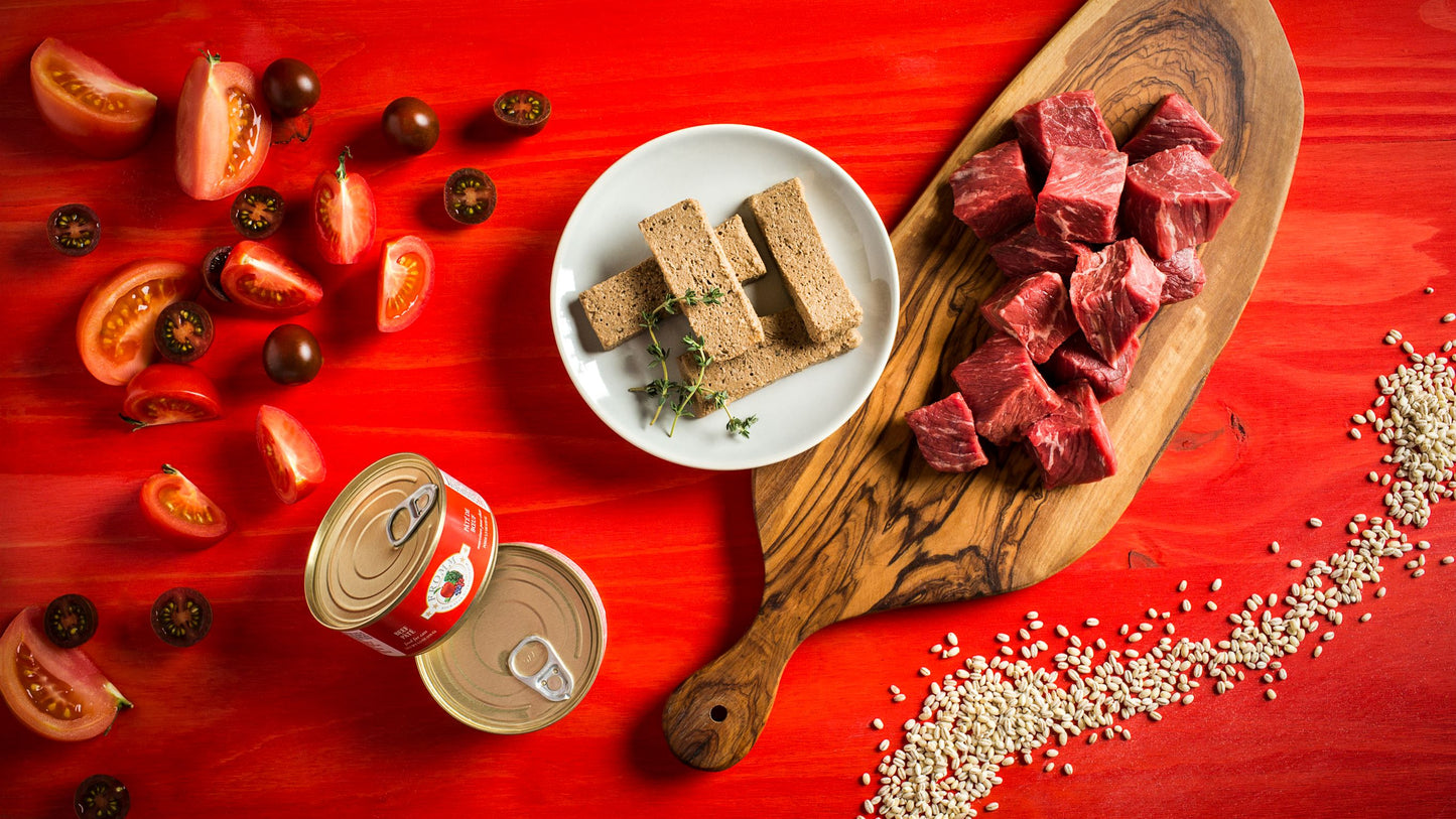 Fromm Four-Star Nutritionals Beef Pâté, Wet Cat Food, 5.5-oz Case of 12
