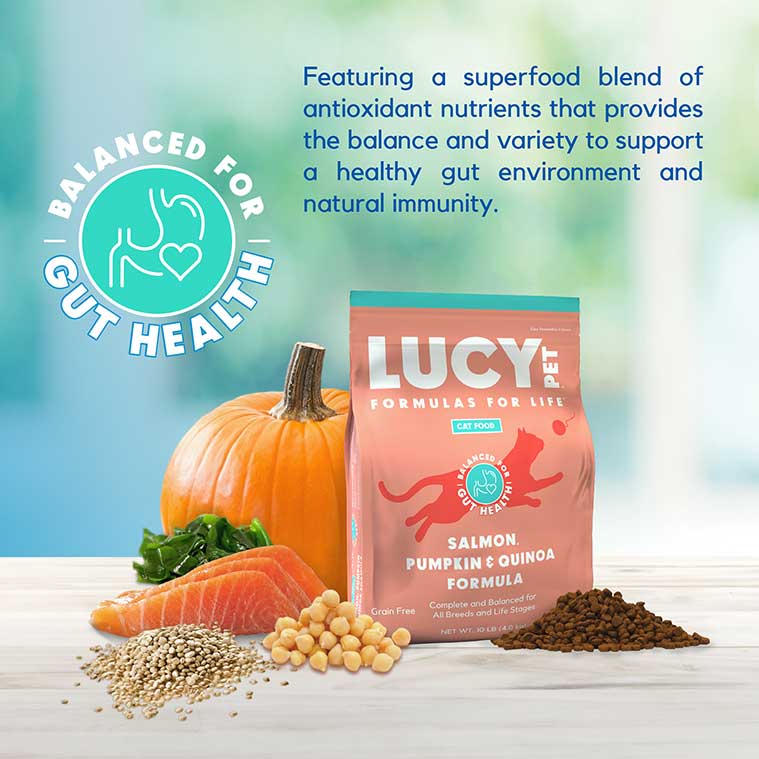 Lucy Pet Salmon, Pumpkin & Quinoa, Dry Cat Food