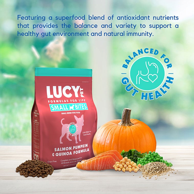 Lucy Pet Foods Salmon, Pumpkin and Quinoa Dog Small Bites, Dry Dog Food, 4.5-lb Bag