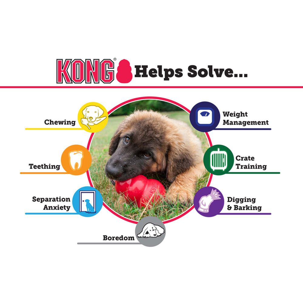 Kong Classic, Dog Toy