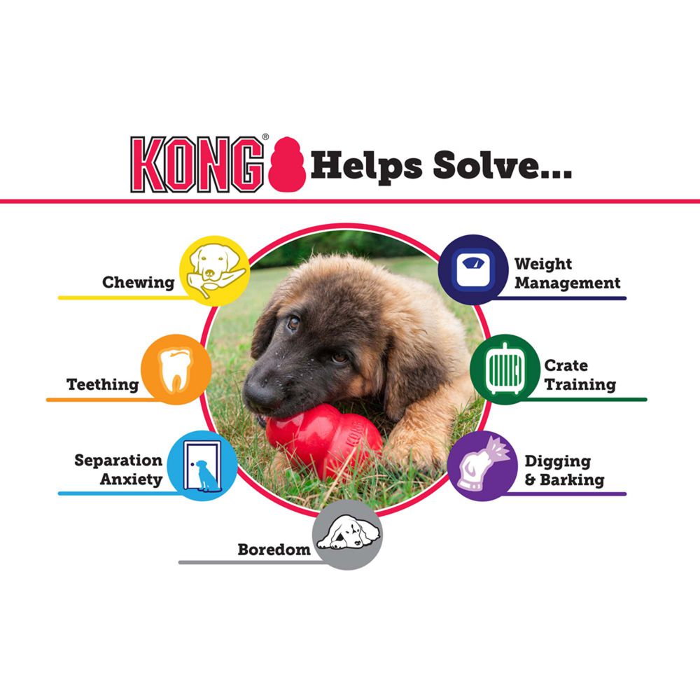 Kong Extreme, Dog Toy