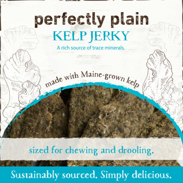 Earth Animal Perfectly Plain Kelp Natural Jerky Dog Treats, 3.5-oz Bag