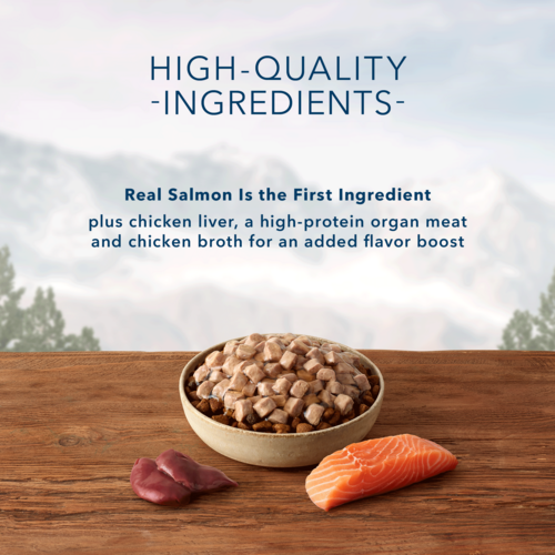 Blue Buffalo Wilderness Trail Toppers Wild Cuts High Protein, Natural Wet Dog Food, Chunky Salmon Bites in Hearty Gravy 3-oz pouches, Case of 24