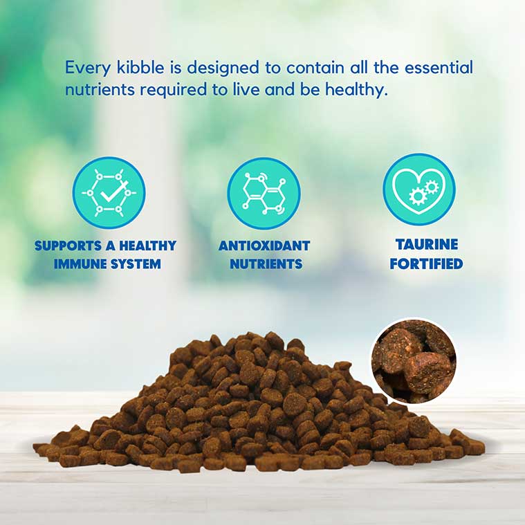 Lucy Pet Salmon, Pumpkin & Quinoa, Dry Cat Food
