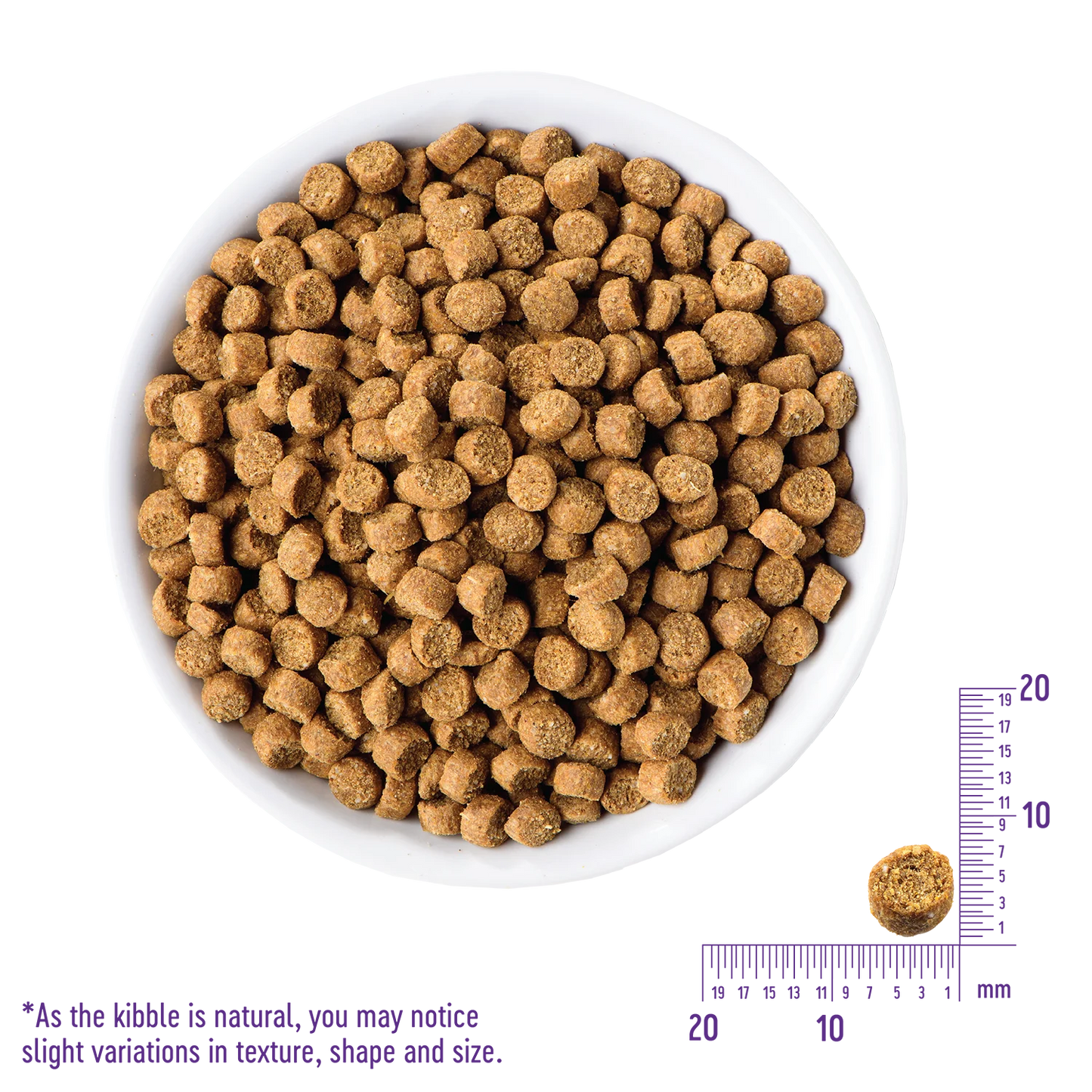 Wellness Complete Health™ Grain Free Kitten Chicken, Dry Cat Food, 5.5-lb Bag