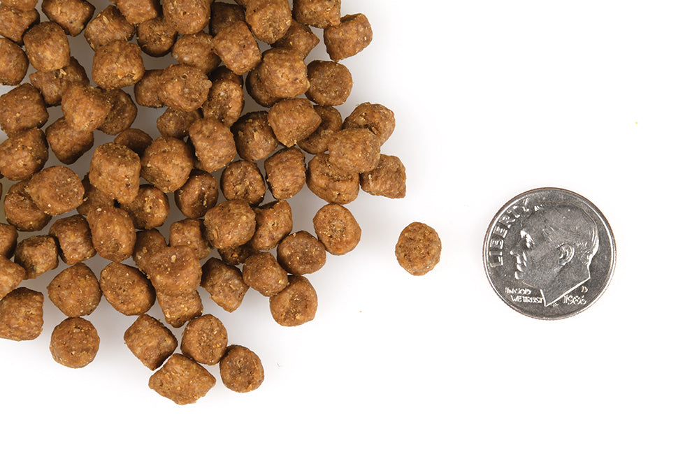 Fromm Gold Indoor Cat Recipe, Dry Cat Food