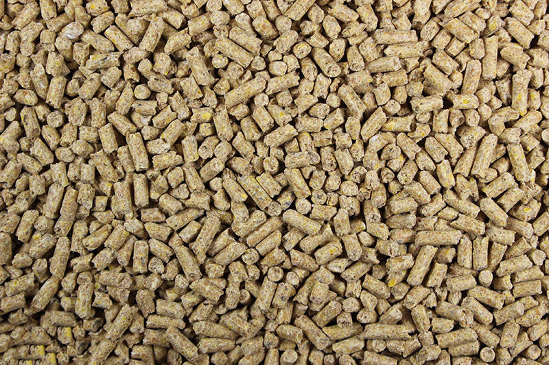 Leach Lay Pellets, Chicken Feed