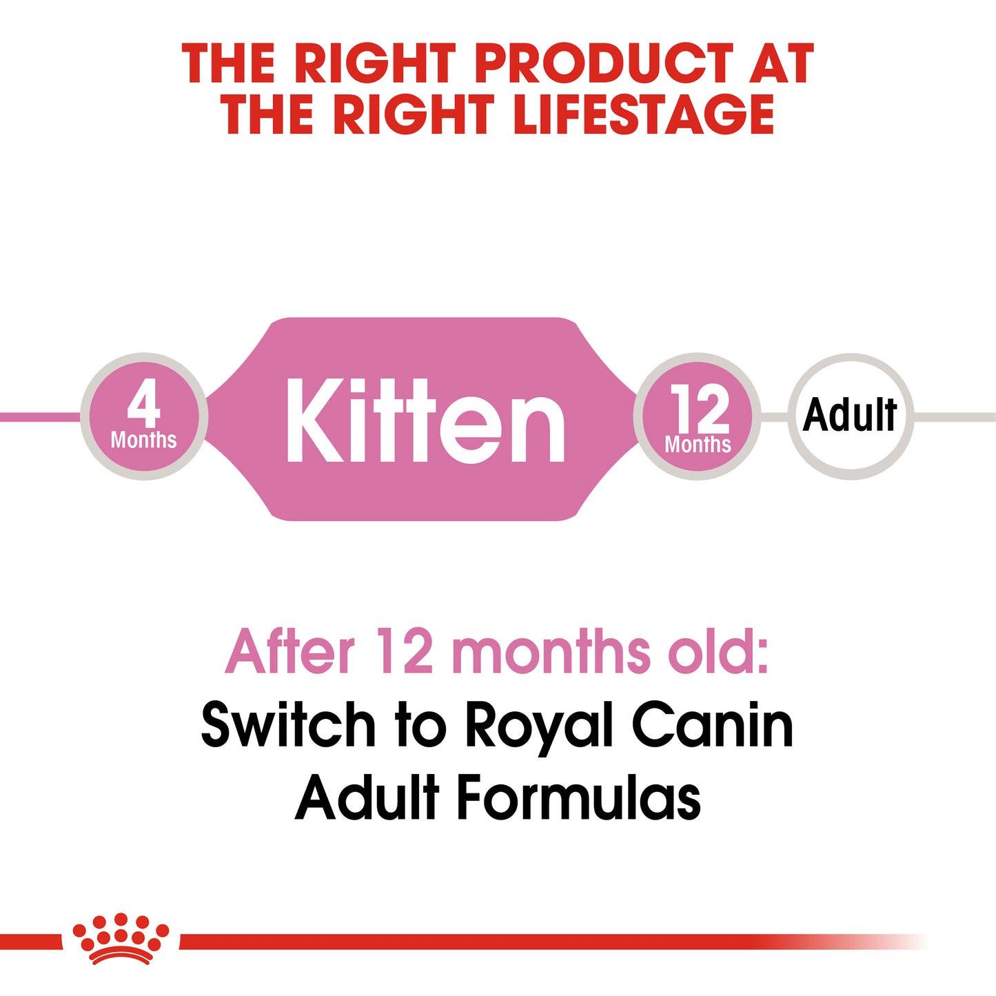 Royal Canin Kitten Dry Cat Food