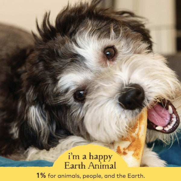Earth Animal No-Hide Cage-Free Peanut Butter Natural Rawhide Alternative Dog Chews, 7-in