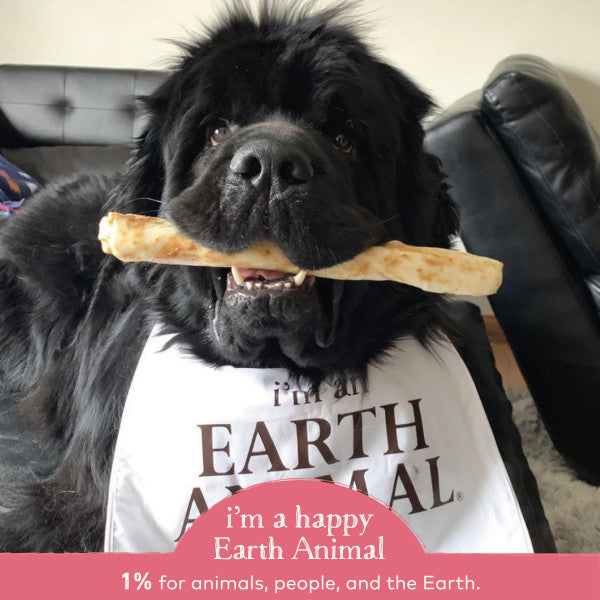 Earth Animal No-Hide Cage-Free Salmon Natural Rawhide Alternative Dog Chews, 1.6-oz(10 pack)